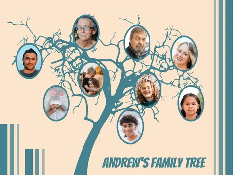 The Big Tree Family