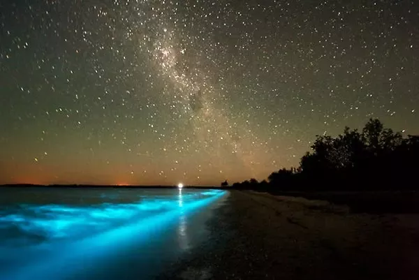 Sea of Stars, Vaadhoo Island, Maldives: