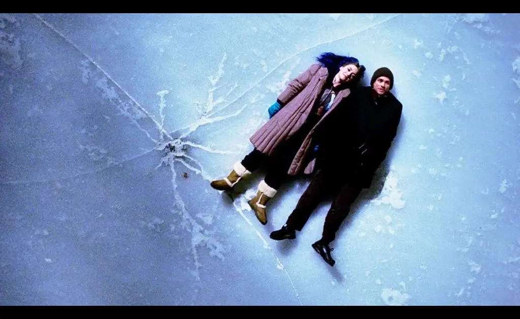 "Eternal Sunshine of the Spotless Mind review