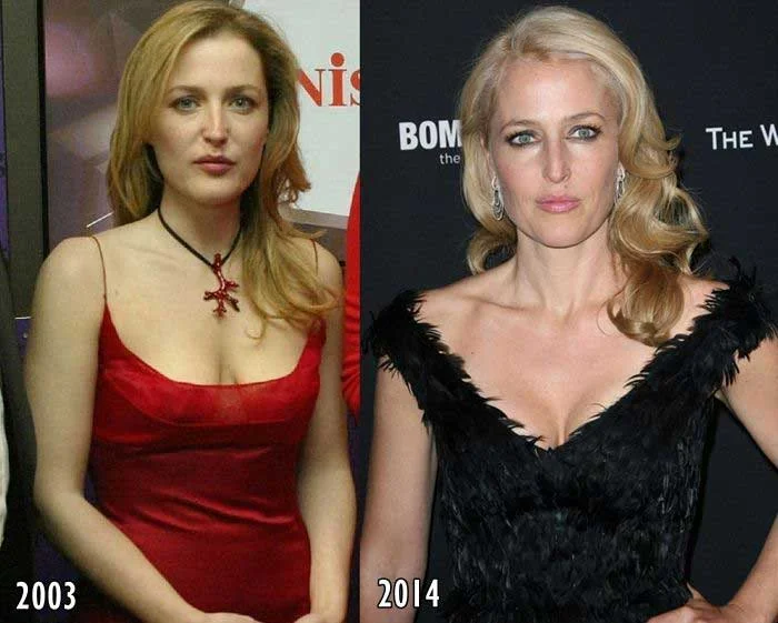 Gillian Anderson