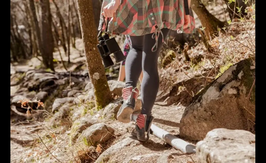 best Women's Hiking Shoes