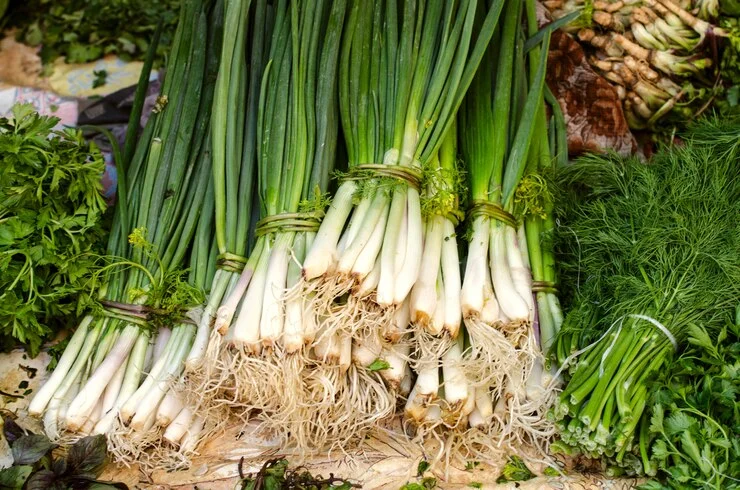 Leeks and Green Onions in shade areas