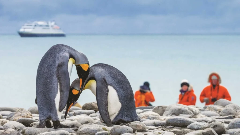 Penguin's Icy Odyssey animal kingdom devoted moms