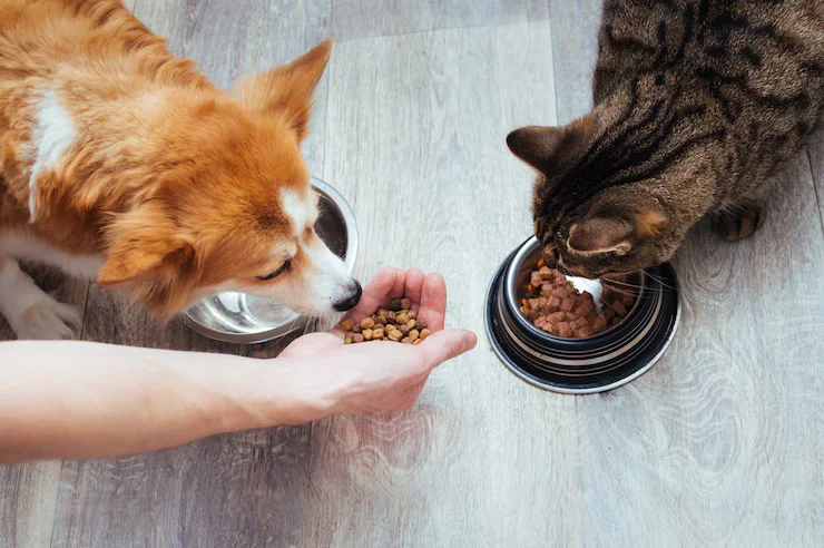 Nutrition and Feeding of pet care