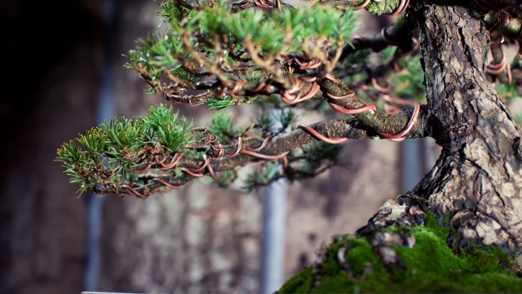 Wiring Branches for Shaping