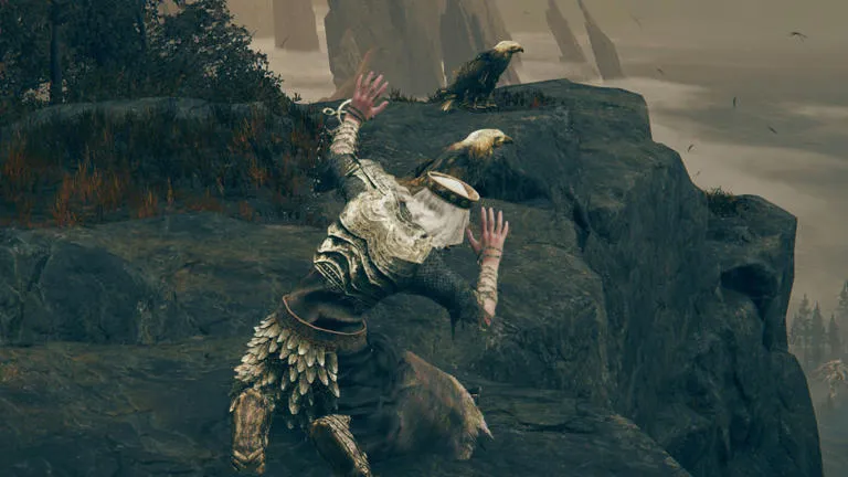 Elden Ring DLC’s screechy birds are scaring the crap out of players