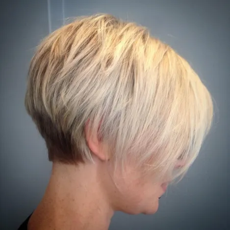 Two-Tone Stacked Pixie Bob