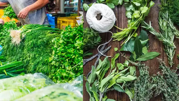 Cleaning Herbs