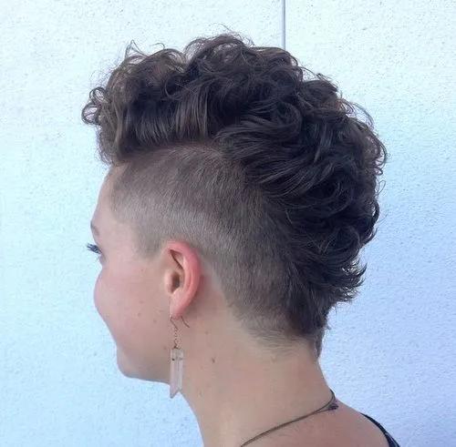 8. The Elegant Mohawk