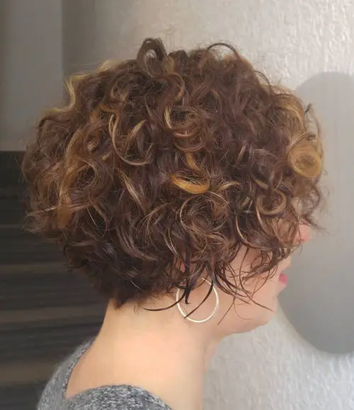 8. Brown Curly Hair with Highlights