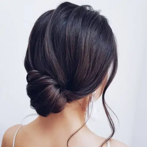 Elegant Chignon