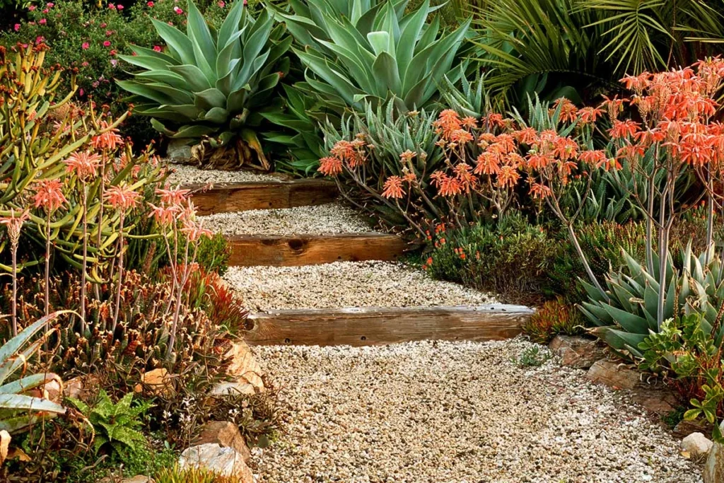 5. Succulent Pathways