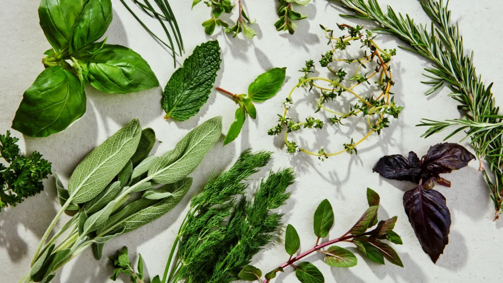 Selecting Fresh Herbs