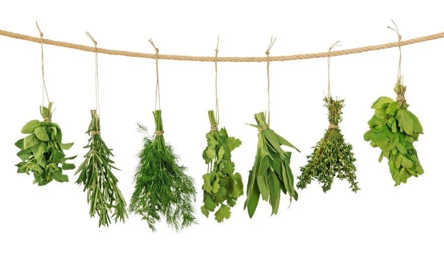 Drying Fresh Herbs