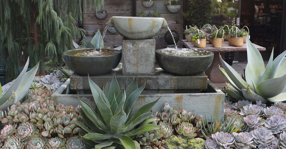 Succulent Water Features