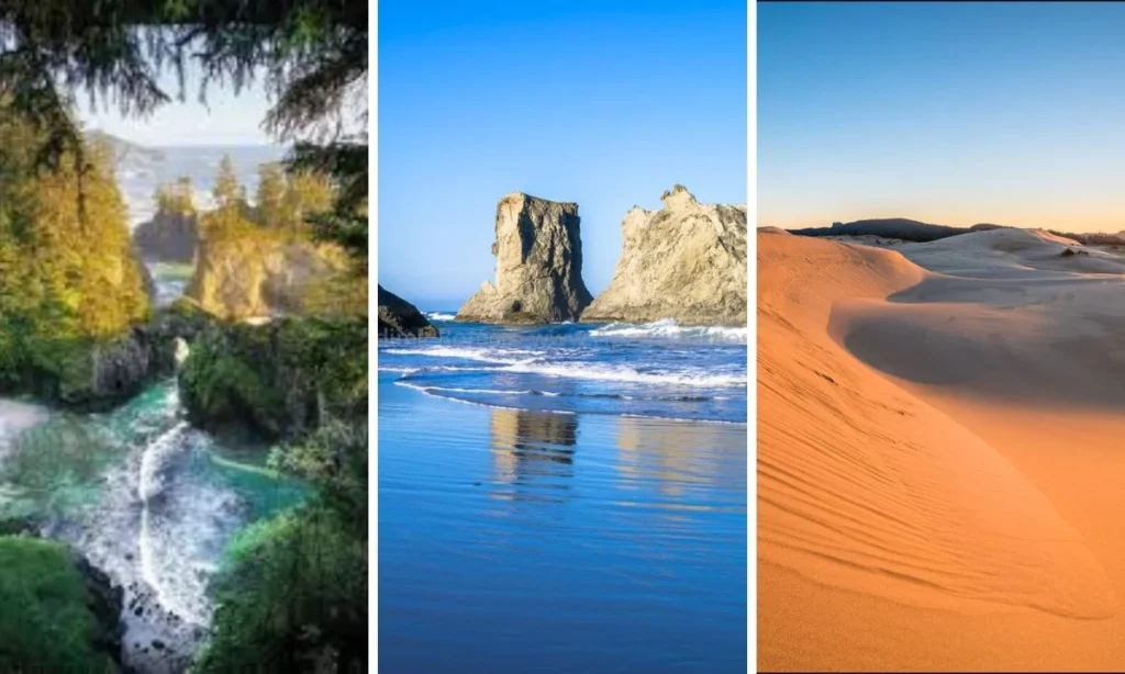 Oregon Dunes National Recreational Area