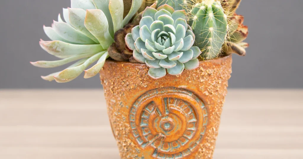 Succulent Planters and Pots