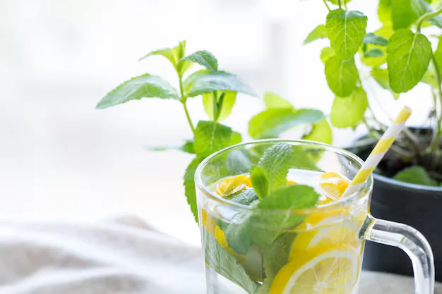 Lemon & Mint Vitamin Water