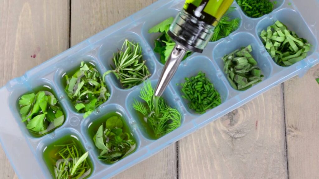 Methods for Freezing herbs