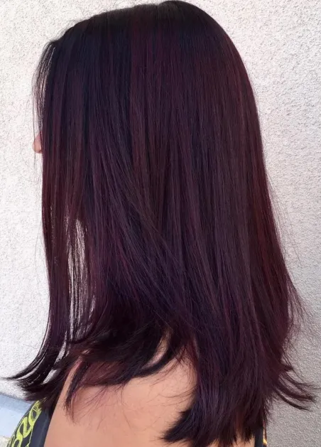 4. Dark Violet Hairstyle
