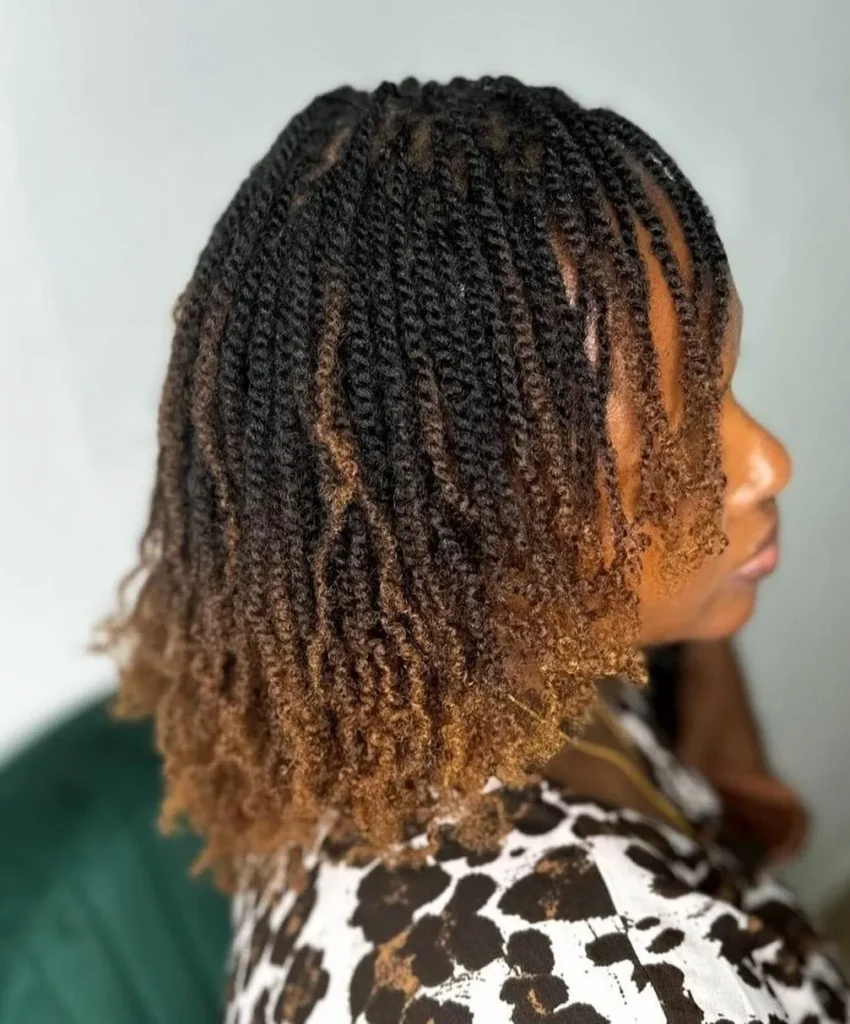 5. Two-Strand Twist Locs
